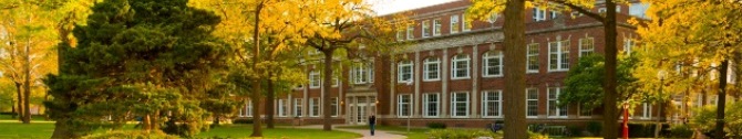 Information Technology Services